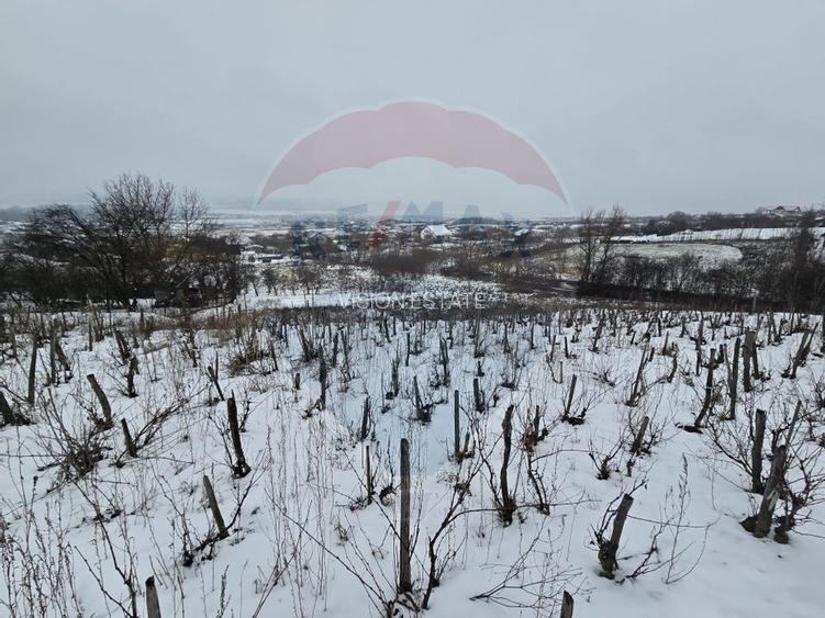 Teren intravilan 7000 mp Simnic, Izvor - 3