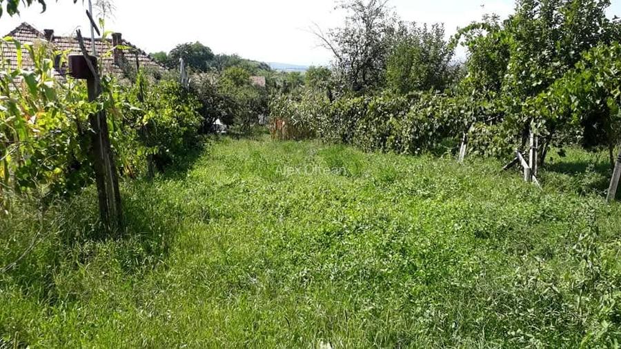 Casă independentă de vânzare - 9