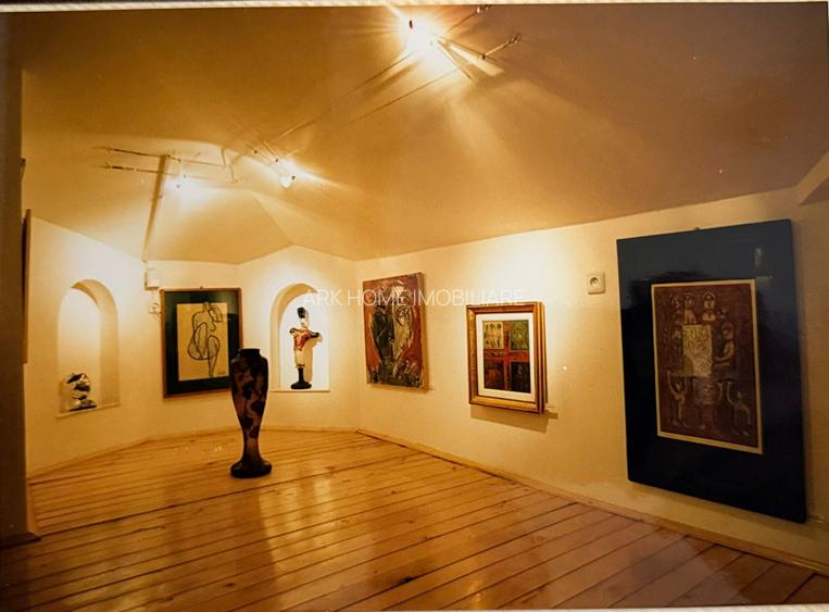 Spatiu Comercial Stradal Dacia - 4