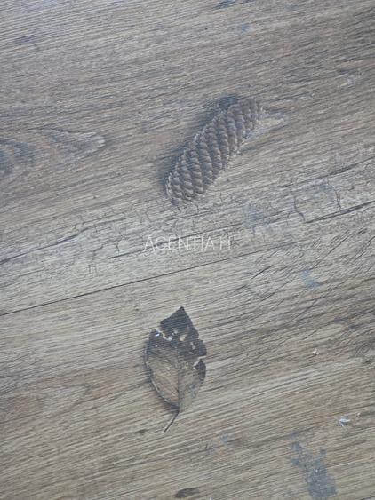 2 camere Dristor - Park Lake et 9/10 stradal - 31