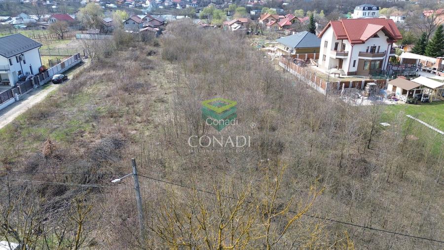 Teren || vis - a - vis de Padure - Balotesti || 2.000 mp - 2