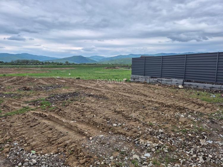 Teren intravilan 1450 mp – Carpiniș , Ideal pentru casă de locuit - 13