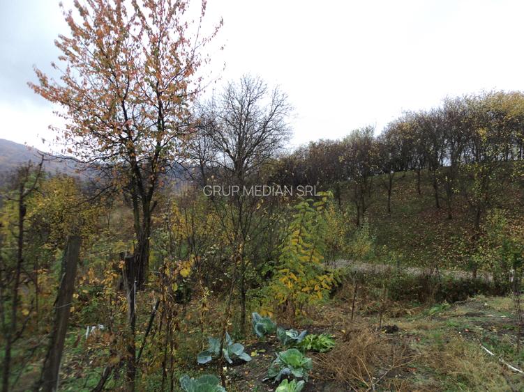 Casa cu 350 mp teren, la 5 km de oras - 10