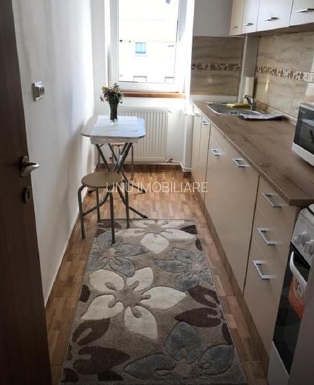 Apartament cu 1 camera - zona Podu Ros - Vis a vis de ANAF  - Pet Friendly - 6