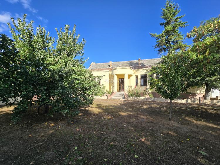 Cenad-Ultracentral-2 fronturi- Casa cu ahitectura deosebita - 4