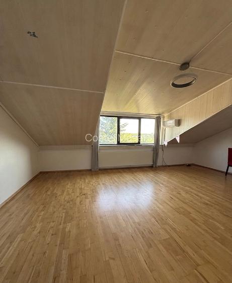 Vila spatioasa + spatiu comercial - 13