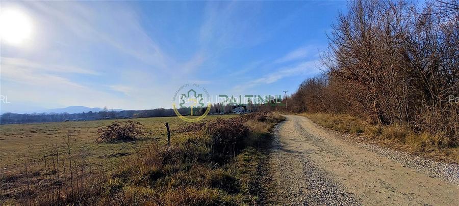 Teren intravilan, 1000 mp cu PUZ - locatie deosebita, Sibiu - Valea Avrigului - 5