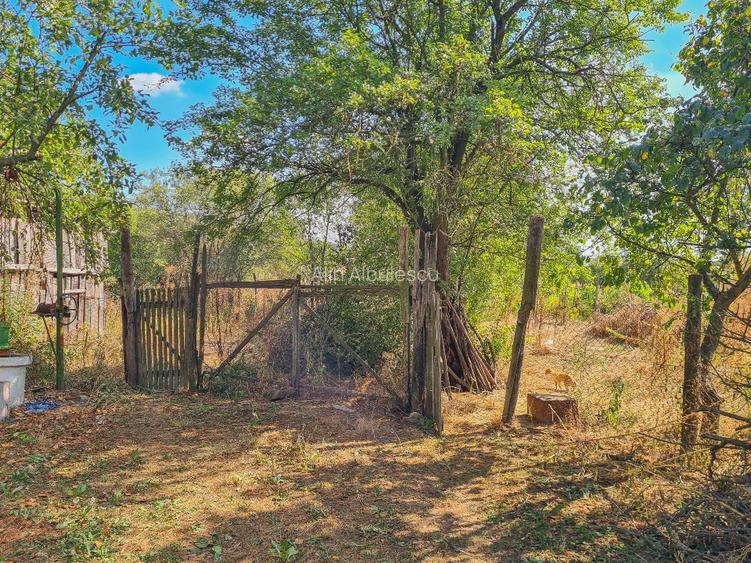 Teren intravilan 2100mp + casa + anexe 29.000 euro - 4