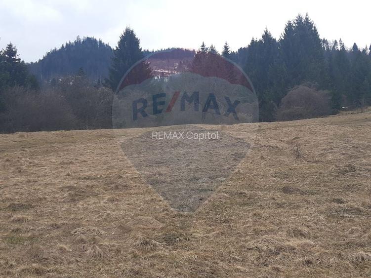 Teren Rasnov/ Soseaua Predealului DN73B - 4