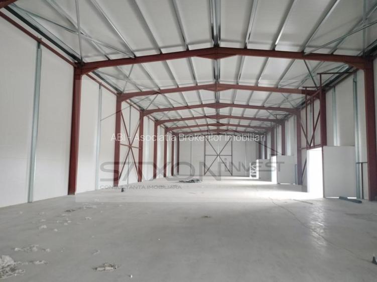 Drumul între Tarlale - Oxigenului. - Suprafața totală de 1126 mp - 4