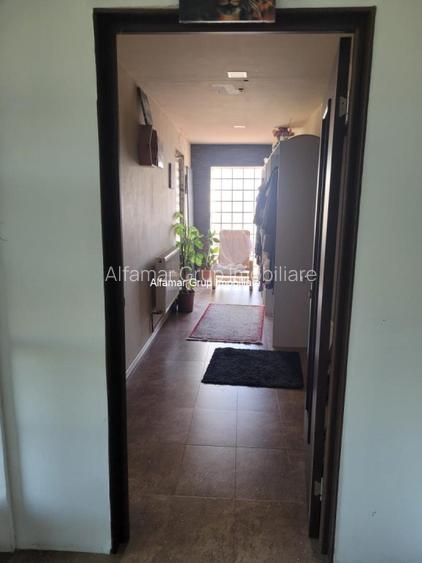 Vanzare proprietate cu 2 case Zurbaua- Dragomiresti Vale - 4