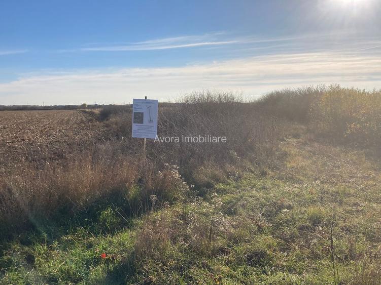 Teren de vanzare – Locatie strategica langa aeroport - 5