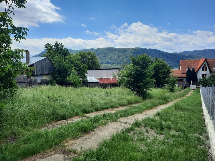 Teren de vanzare intravilan Valea Vie ( Dimitre Cantemir )1000 mp , Cod 147432 - 2