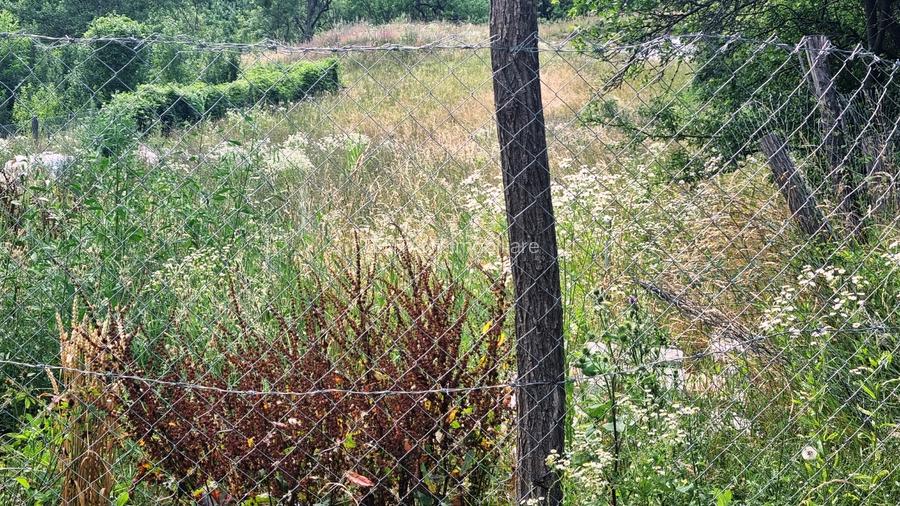 Vanzare Teren  construibil 5700mp Campul Lung Muscel - 16