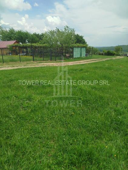 Teren de vinzare in Tropini Vechi - 8