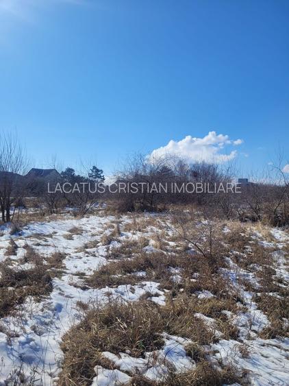 EXCLUSIVITATE! TEREN UNICAT 5831MP ZONA MAMAIA NORD - 6