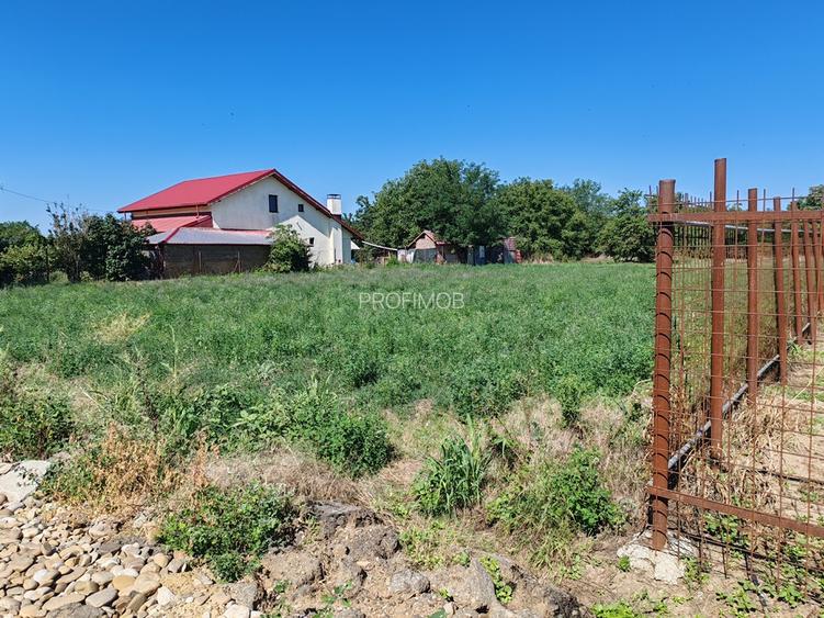 Teren intravilan , liber , zona linistita , civilizata , 40 km de Bucuresti - 4