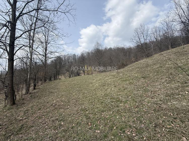 Teren 6040 mp la baza pădurii deschidere 40 ml - 12