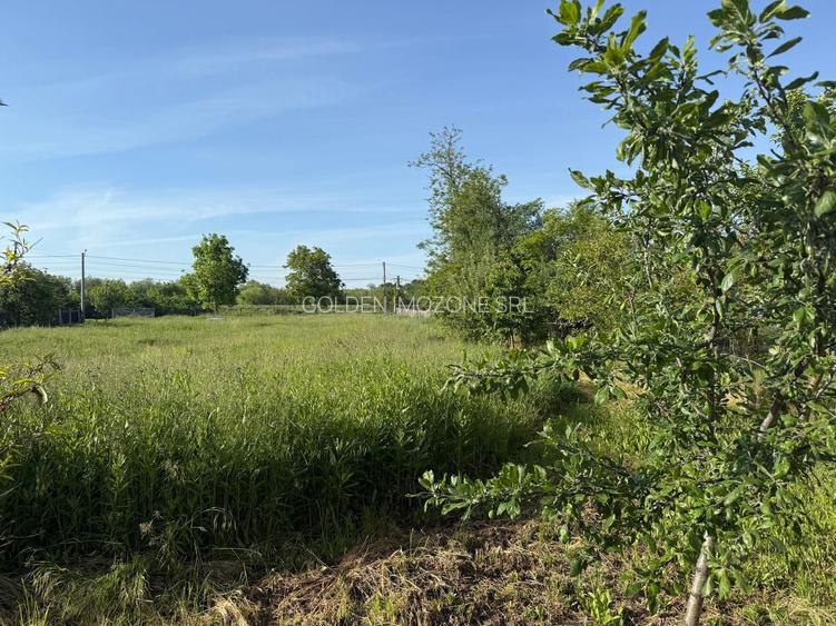 Teren de 3360 mp în exclusivitate, Sânmihaiu Român, vedere la Bega - 2