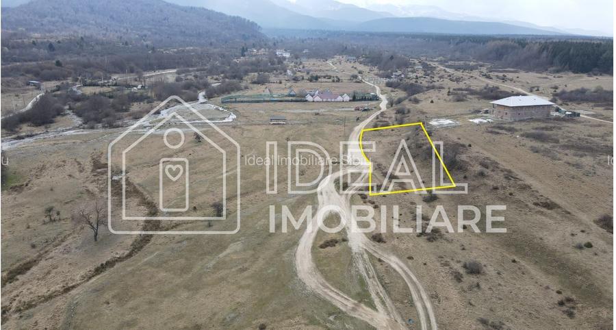 Teren extravilan de vânzare – Cârțișoara | Vedere spre Munții Făgăraș - 2