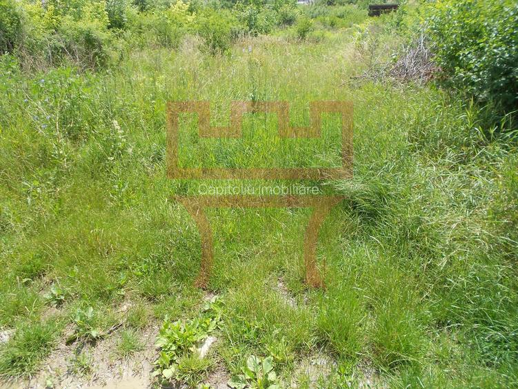 Vanzare teren  in Faget  zona Hotel Stil cu PUZ spre aprobare - 4