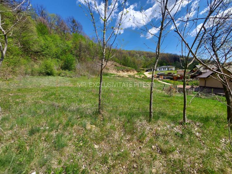 Casa 6 camere langa padure/ 340 mp/ teren de 3 745 mp la 5 min de Pitesti - 14