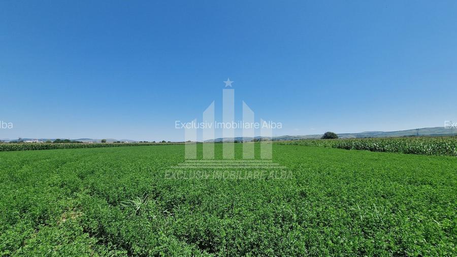 Teren intravilan | 17300 mp | 20 de parcele | Soseaua de Centura - 2