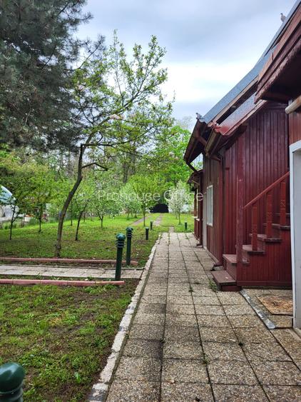 Refugiul tău verde, aproape de oraș la Snagov - 5