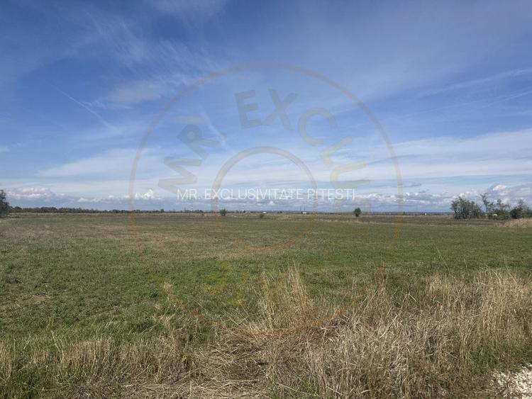 Teren intravilan 3700 mp la 28 km de Pitesti  - zona linistita - 2