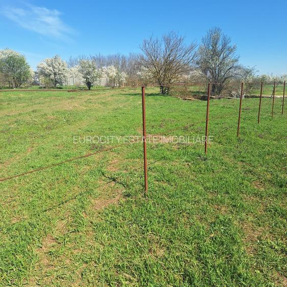 Dragomiresti- Vale, str Nucilor, teren intravilan 2.262mp. - 7