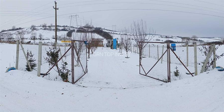 Teren extravilan cu apa si curent 700 mp in Sura Mare - 11