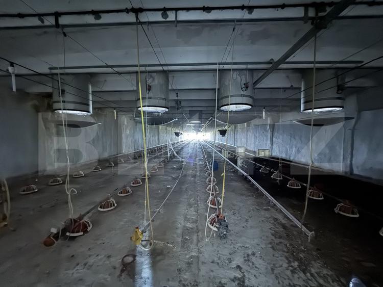 Spatiu industrial, 28.100mp, zona Bucovat - 2