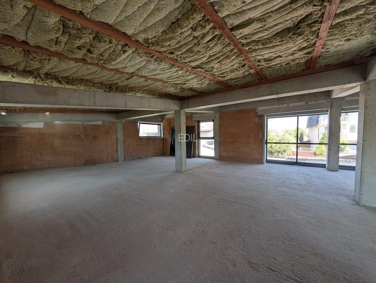 Spatiu comercial, 162mp, 5 parcari, zona Av. Iancu - 9