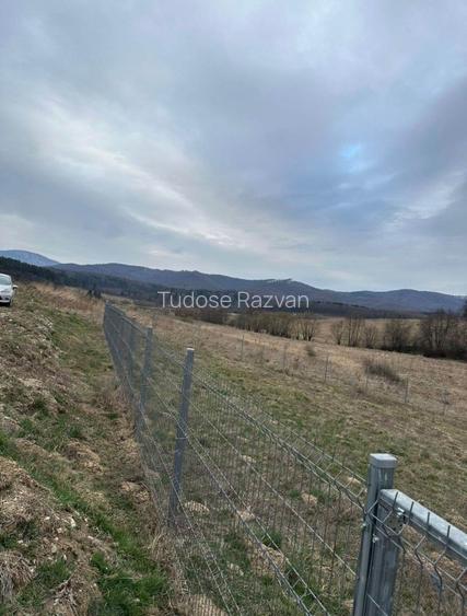 Teren de vânzare 1030m2, intravilan - Jud. Brașov - 6