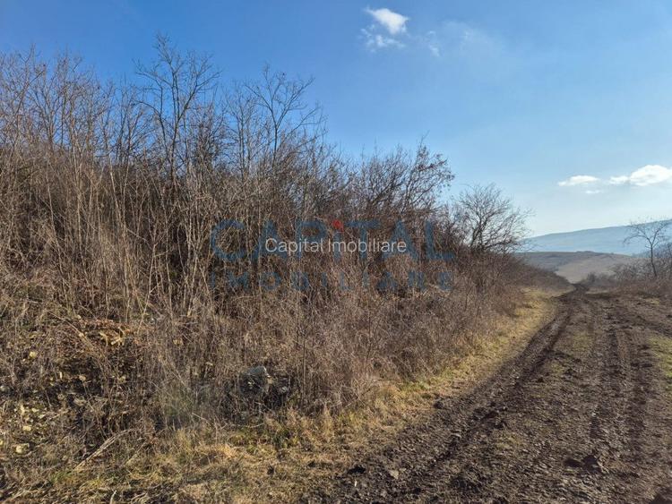 Teren intravilan, 1 000 mp, zona Tausor - 7