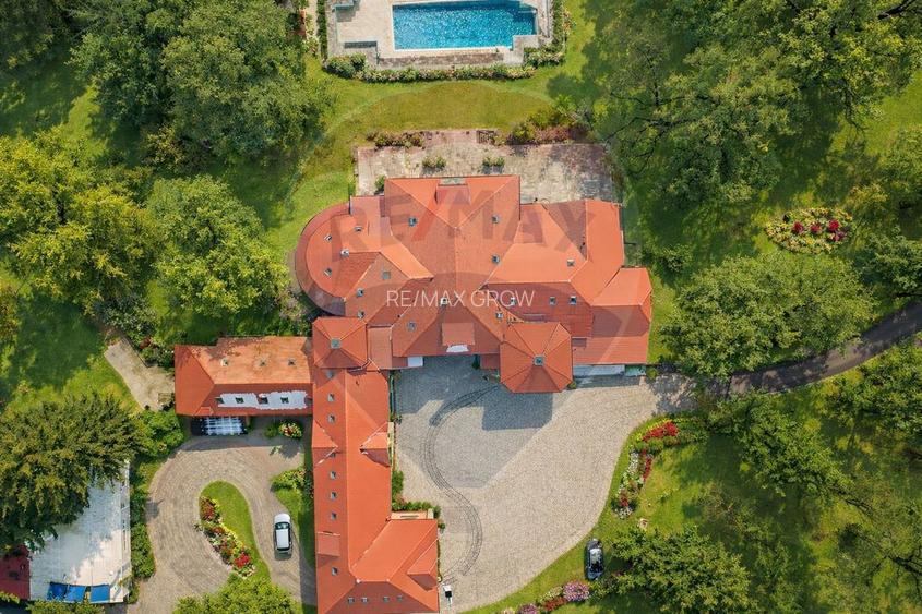 Palatul Stirbei - Darmanesti - 14