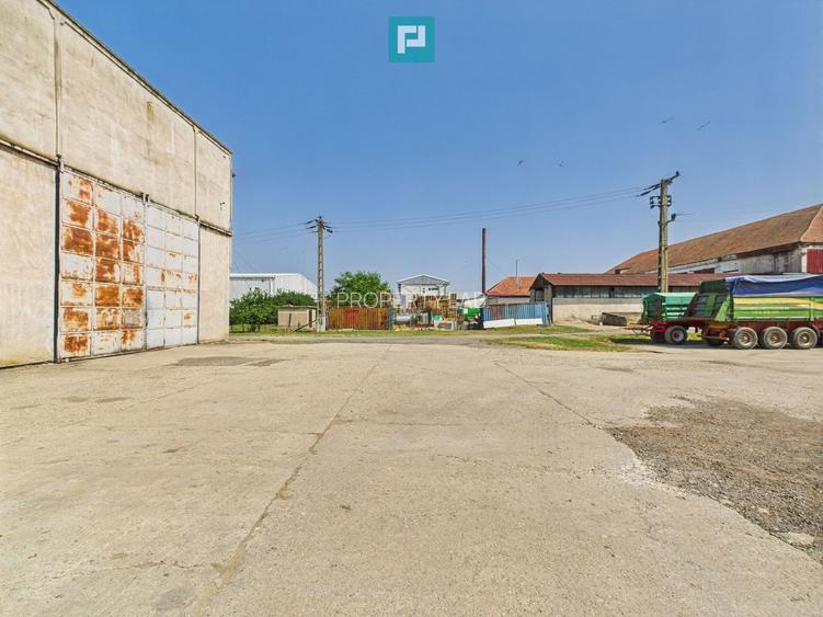 Complex industrial cu hale și teren  în Orțișoara - 34