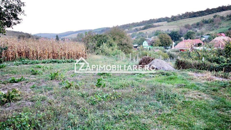 De vanzare 2 case cu 4.900 mp teren, Livezeni 0% comision - 9