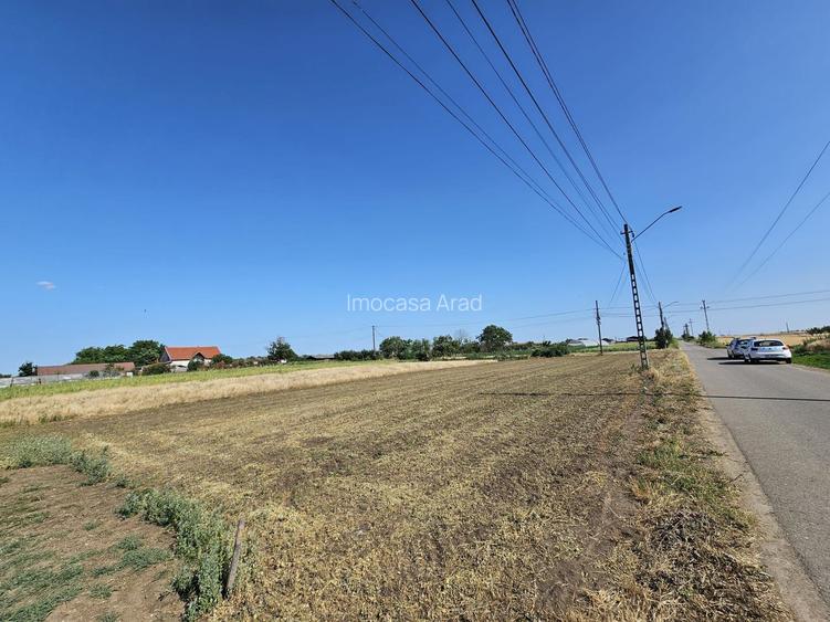 Teren intravilan generos 2 fronturi 900 mp Curtici Jud Arad - 4