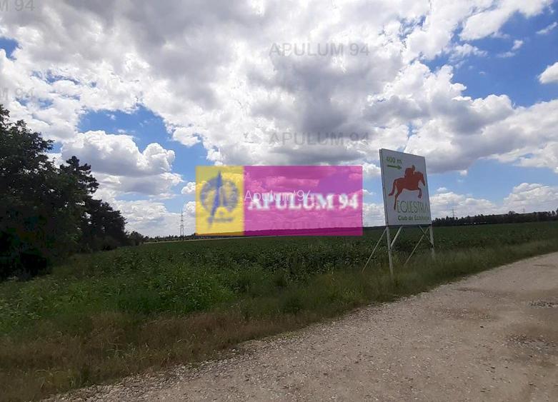 Teren 715mp în Snagov lângă Equestria - 14