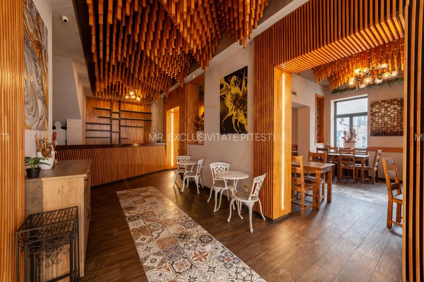 Spatiu comercial premium in vila – Bd. Republicii, Pitesti - 2