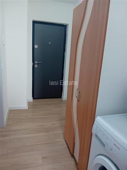 Apartament o camera cu terasa Hlincea - 6