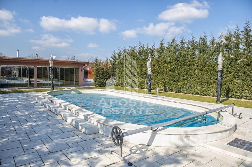 Vila,Piscina,teren fotbal,gradina,vegetatie - 20