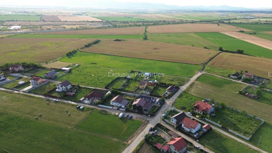 Teren 10.000 mp str. Lalelelor, Bod, Brasov pentru case - 2