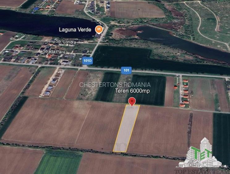 Teren pentru case 6000mp Moara Vlasiei - 2