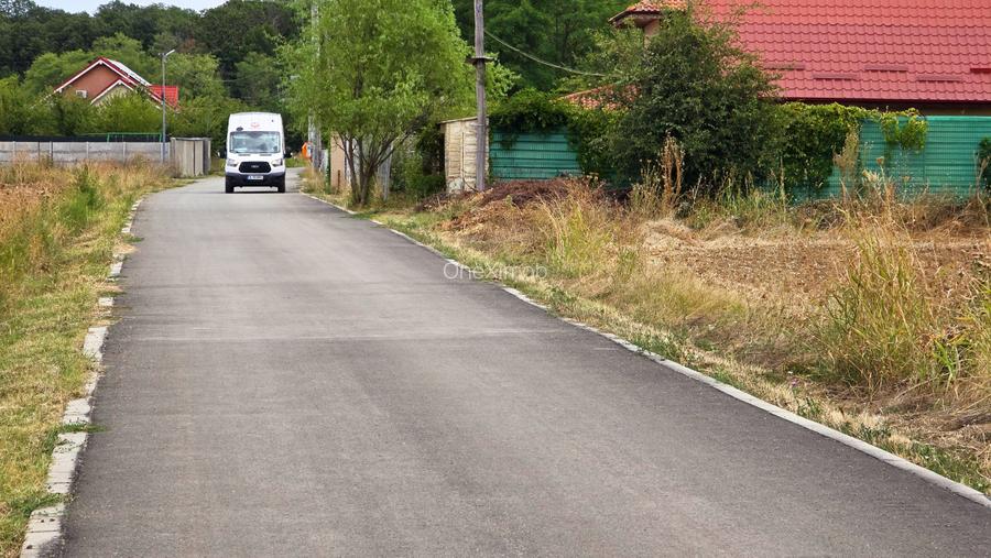 The Forest Collection -500mp-Zona exclusivista | Padurea Snagov -Ciofliceni - 9