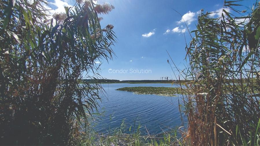 Vanzare teren 4400 mp Snagov - Gruiu, cu deschidere la lacul Snagov - 9