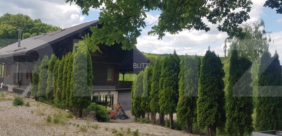 Investitie ! Casa de vacanta 350 mp utili ,teren 3000 mp in Faget ! - 6