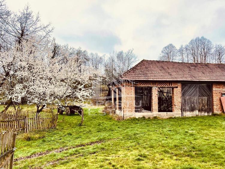 Casa cu potential amenajare pescarie- Zona Varfurile - 6