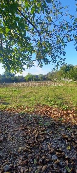 Vand 3413 mp teren intravilan - 5